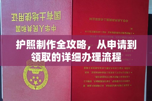 工业园区护照制作全攻略，从申请到领取的详细办理流程