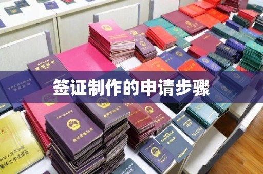 工业园区签证制作的申请步骤