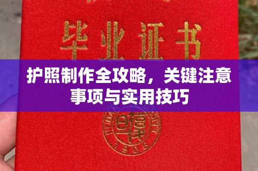 工业园区护照制作全攻略，关键注意事项与实用技巧
