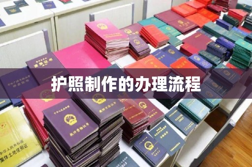 工业园区护照制作的办理流程