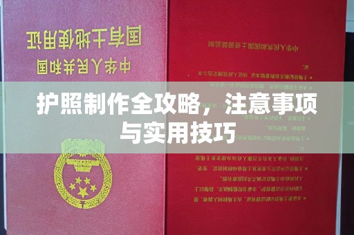 工业园区护照制作全攻略，注意事项与实用技巧