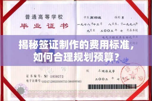工业园区揭秘签证制作的费用标准，如何合理规划预算？