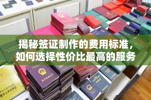 工业园区揭秘签证制作的费用标准，如何选择性价比最高的服务？
